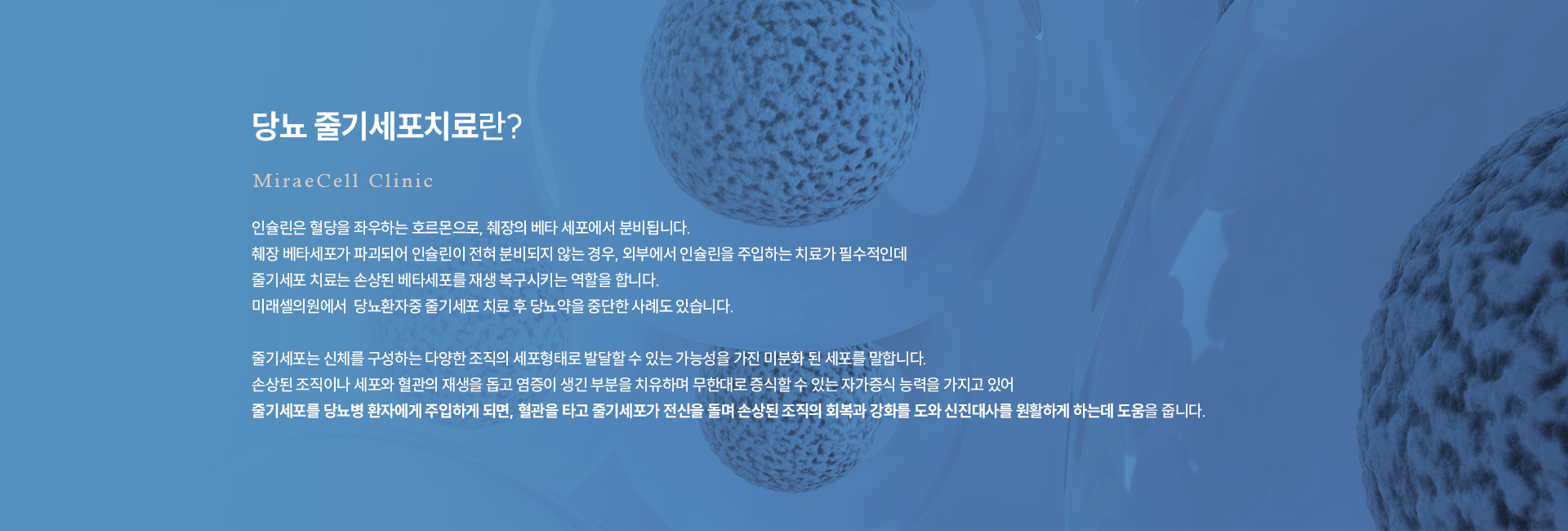 당뇨 줄기세포