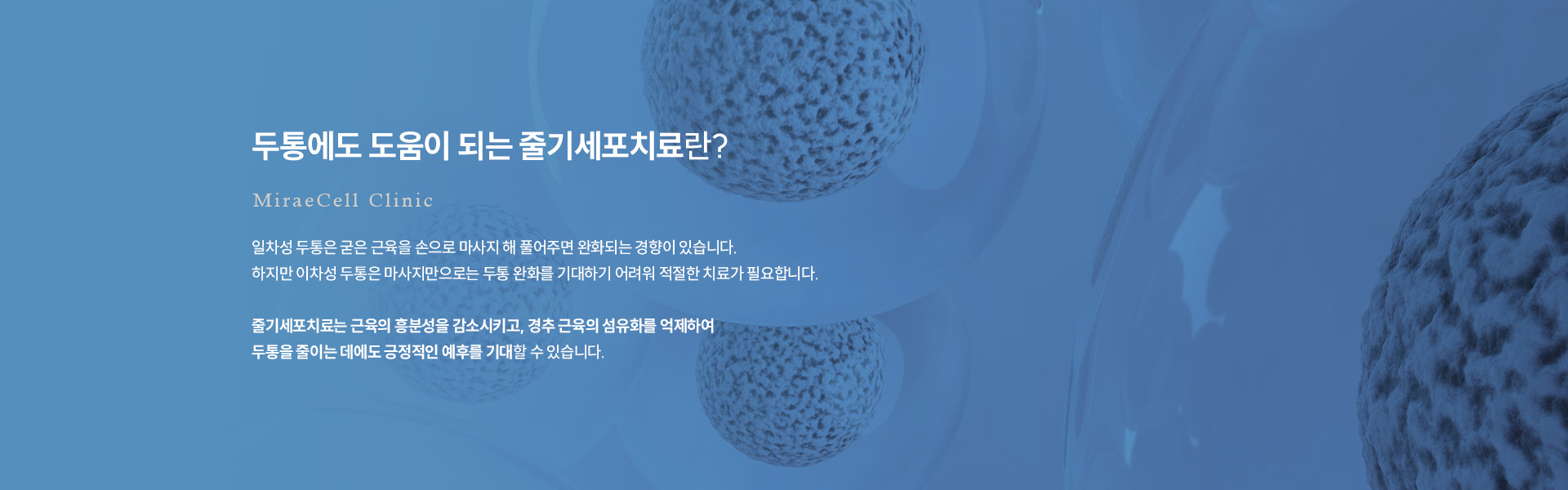 두통어지러움 줄기세포