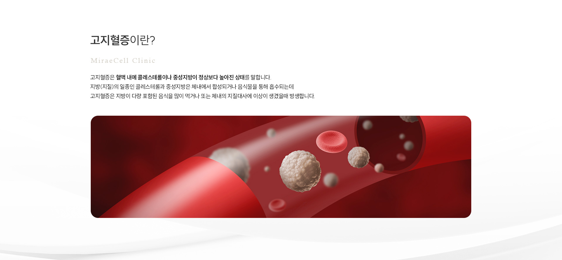 고지혈증 정의