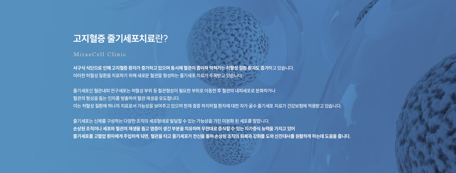 고지혈증 줄기세포