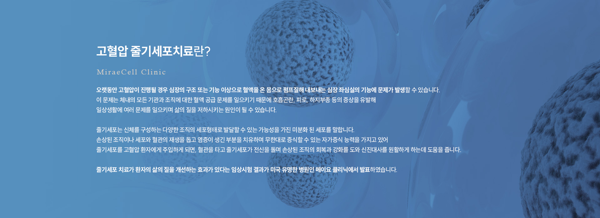 고혈압 줄기세포