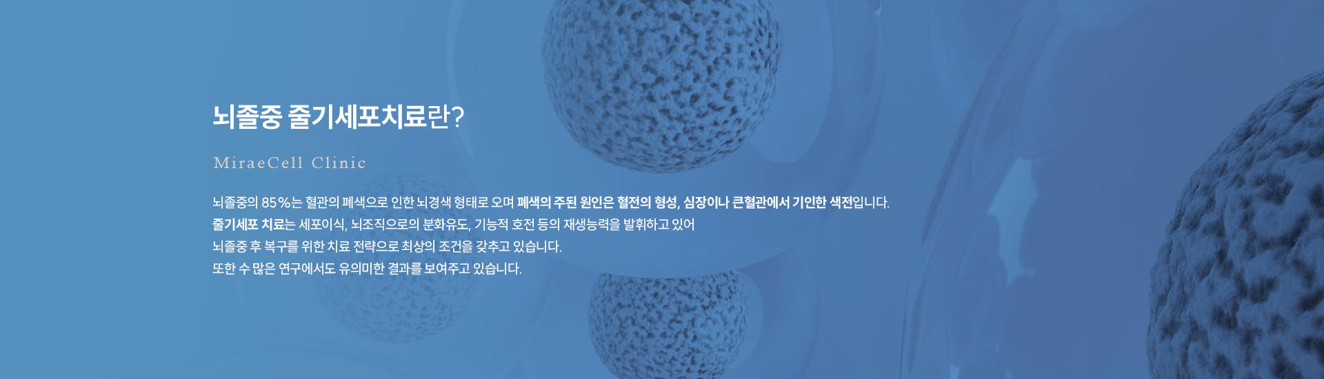 뇌졸중 줄기세포치료