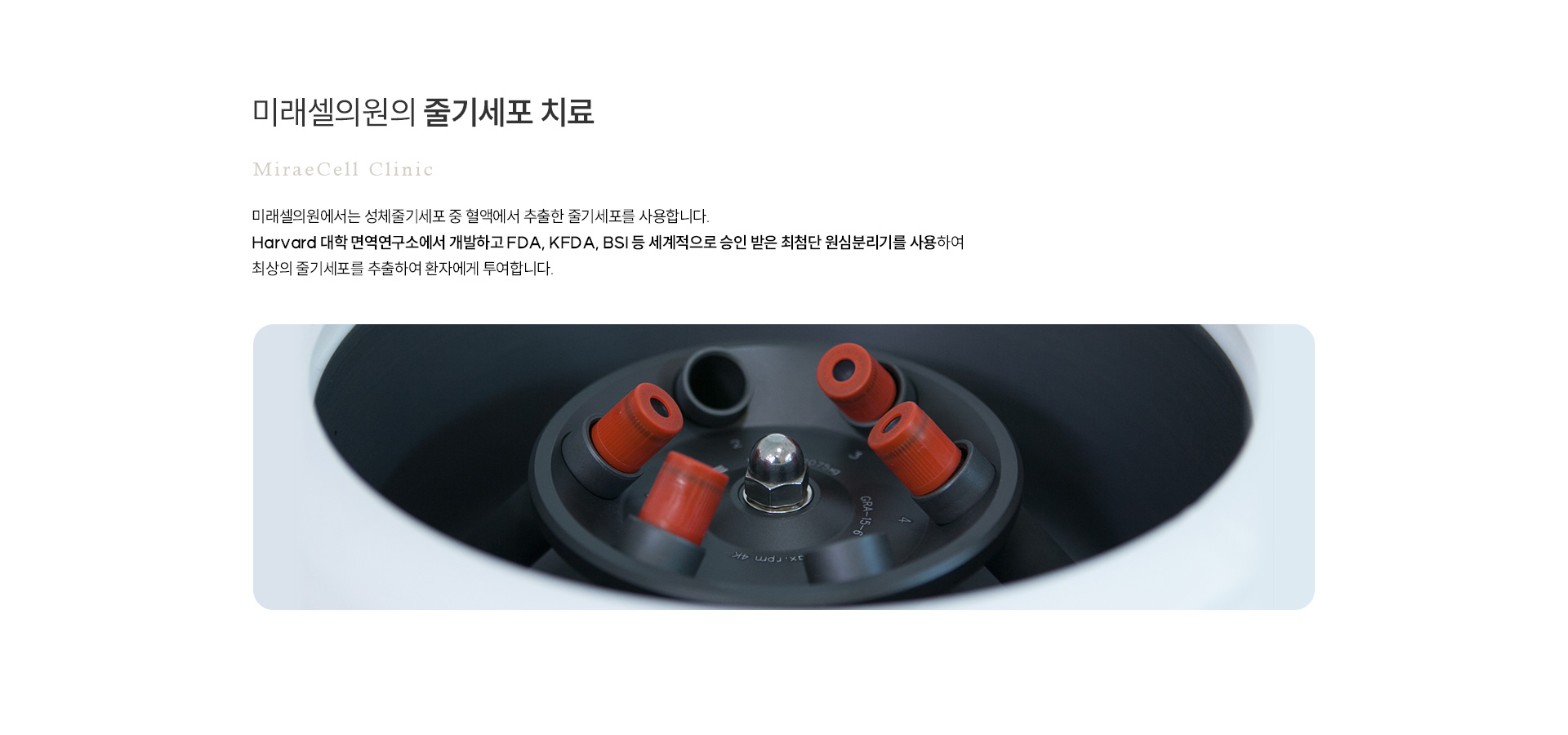 퇴행성 무릎 관절염 공통하단줄기세포치료