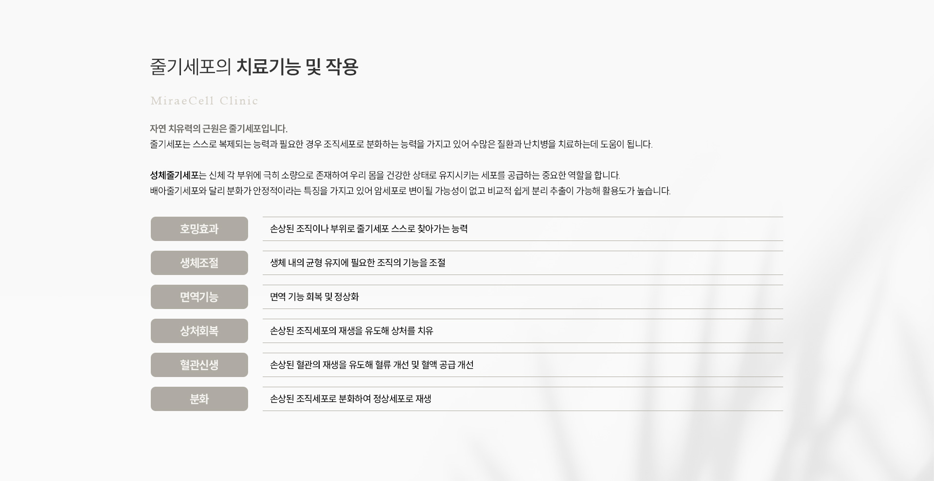 줄기세포란? 공통하단줄기세포치료기능및작용