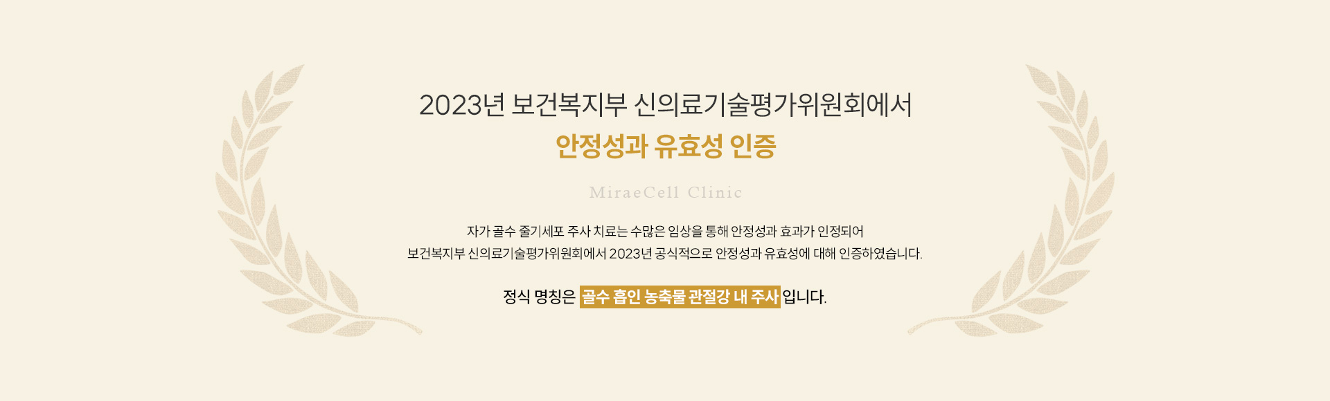 퇴행성 무릎 관절염 안정성과유효성인증