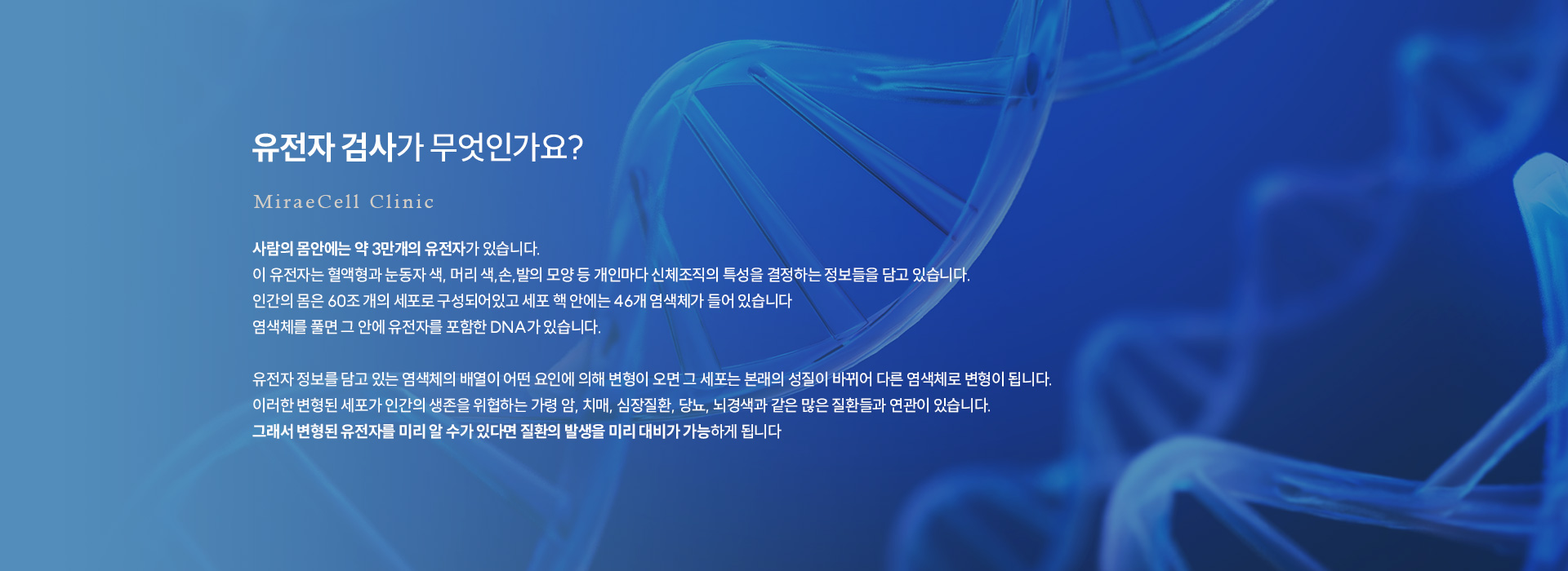 검사항목 예방