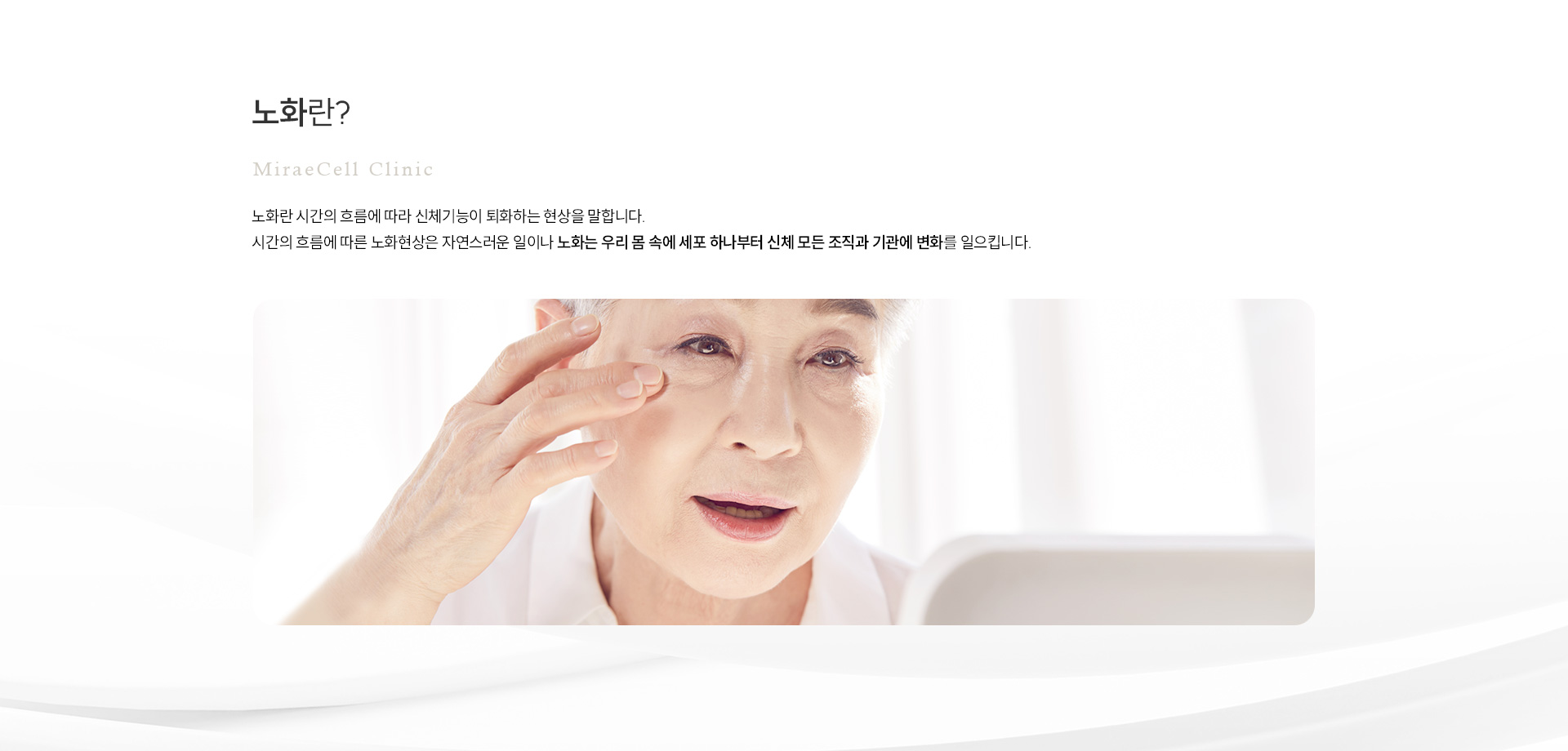 노화 정의