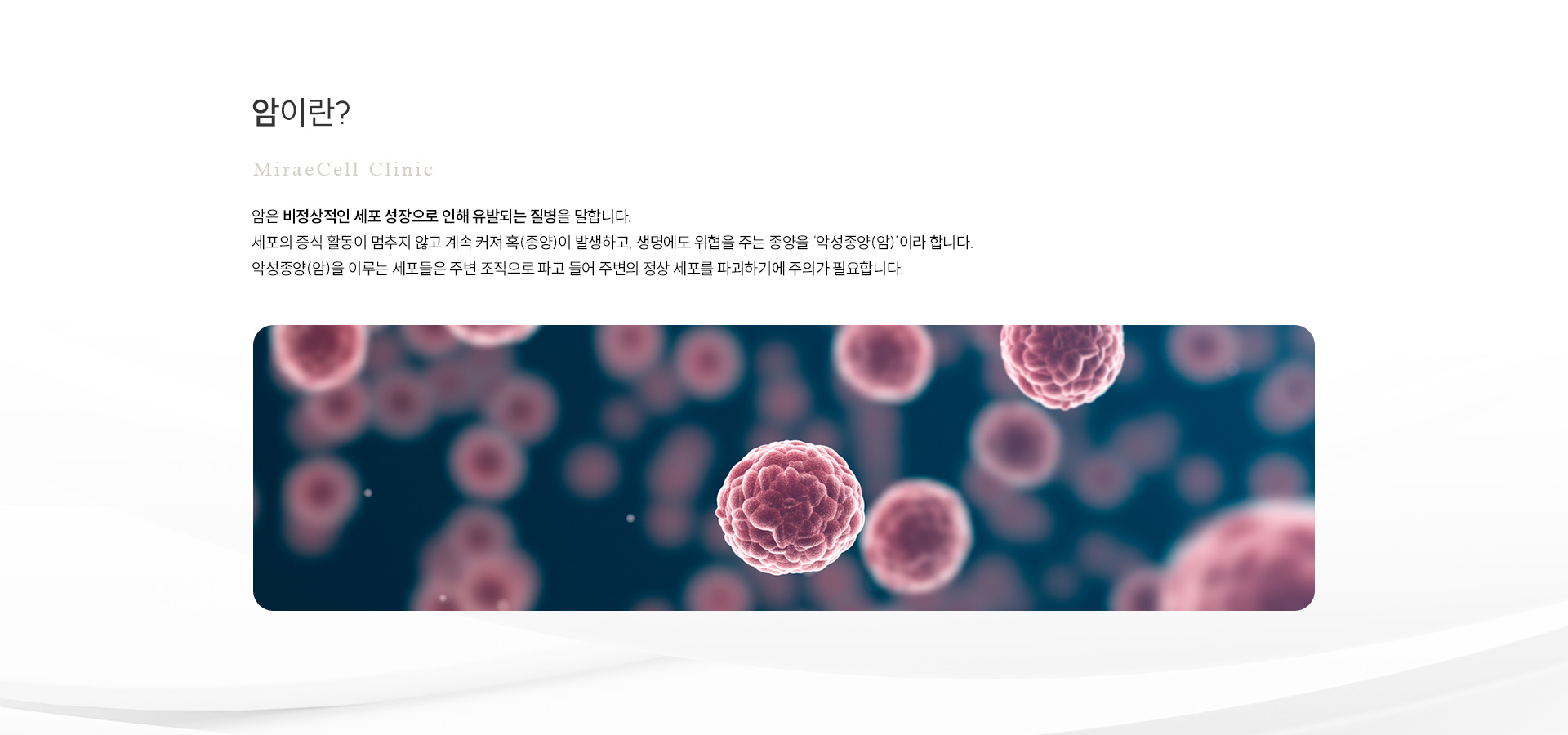 암환자 케어 정의