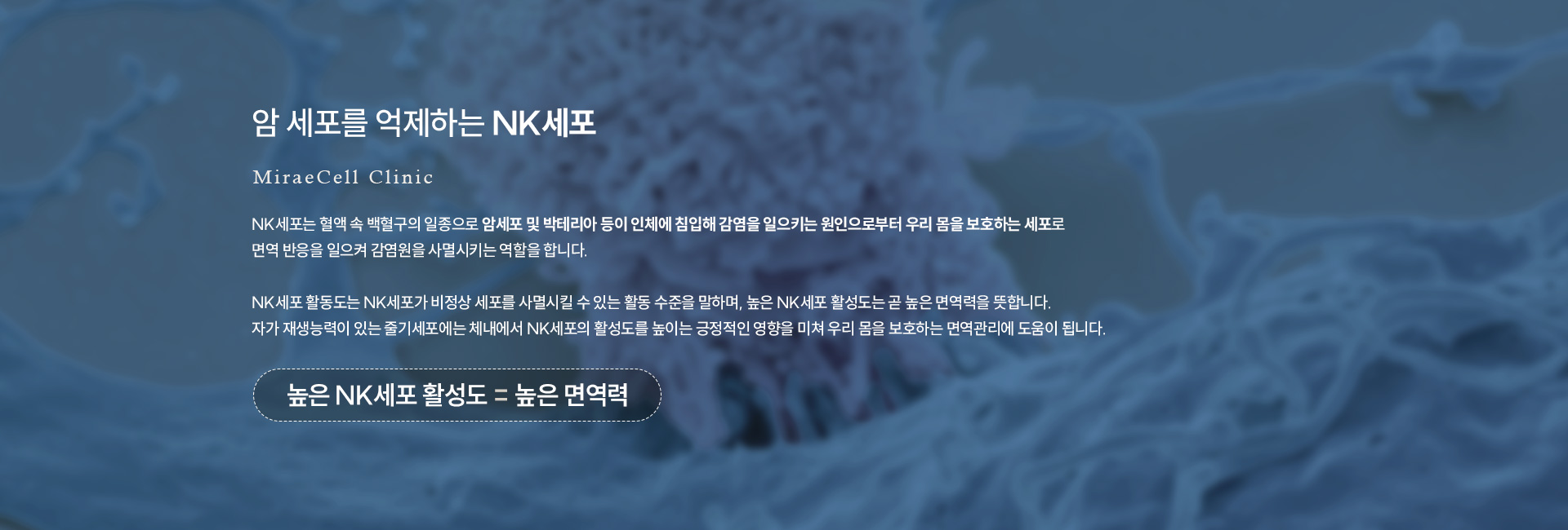 암환자 케어 NK세포