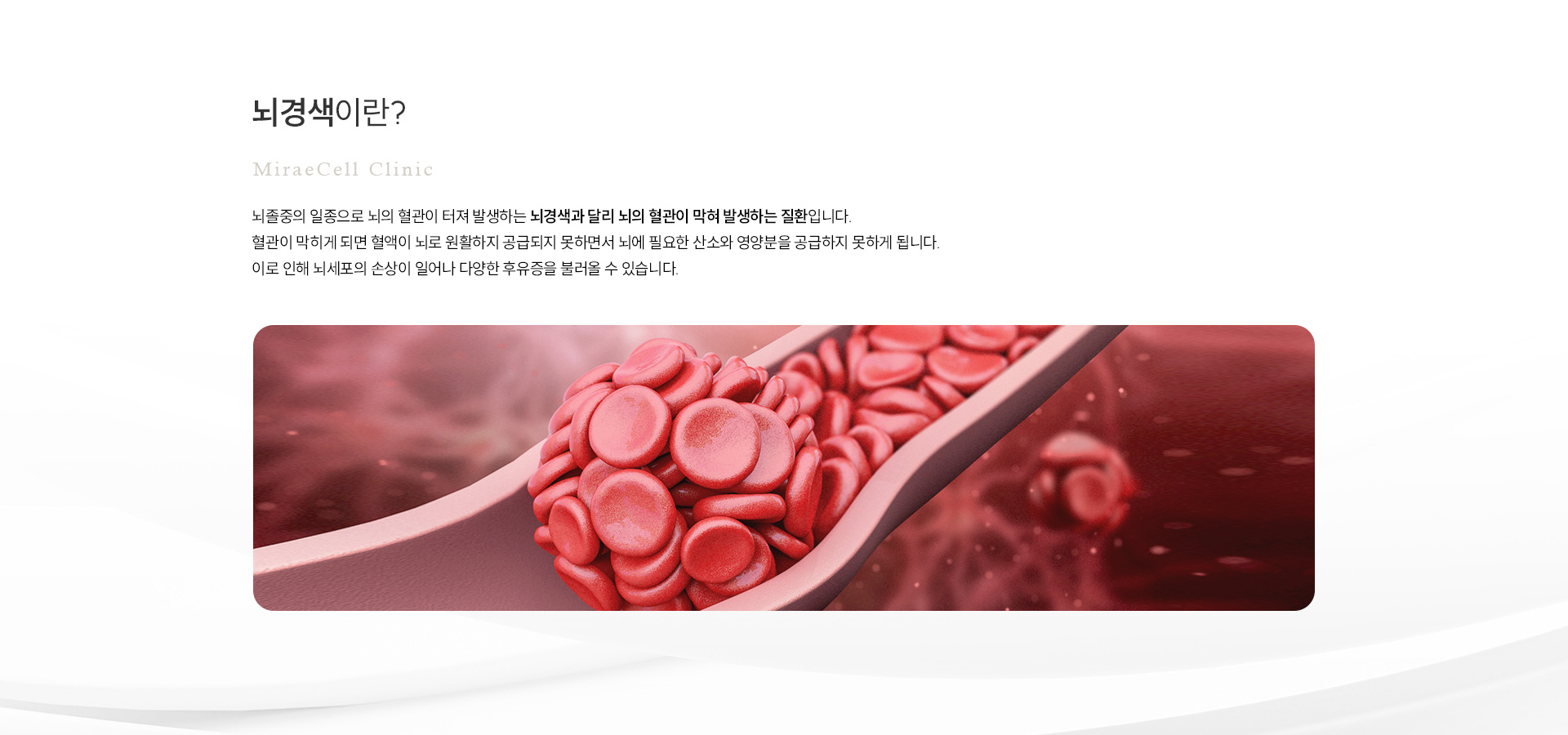 뇌경색 예방 및 후유증 감소 정의