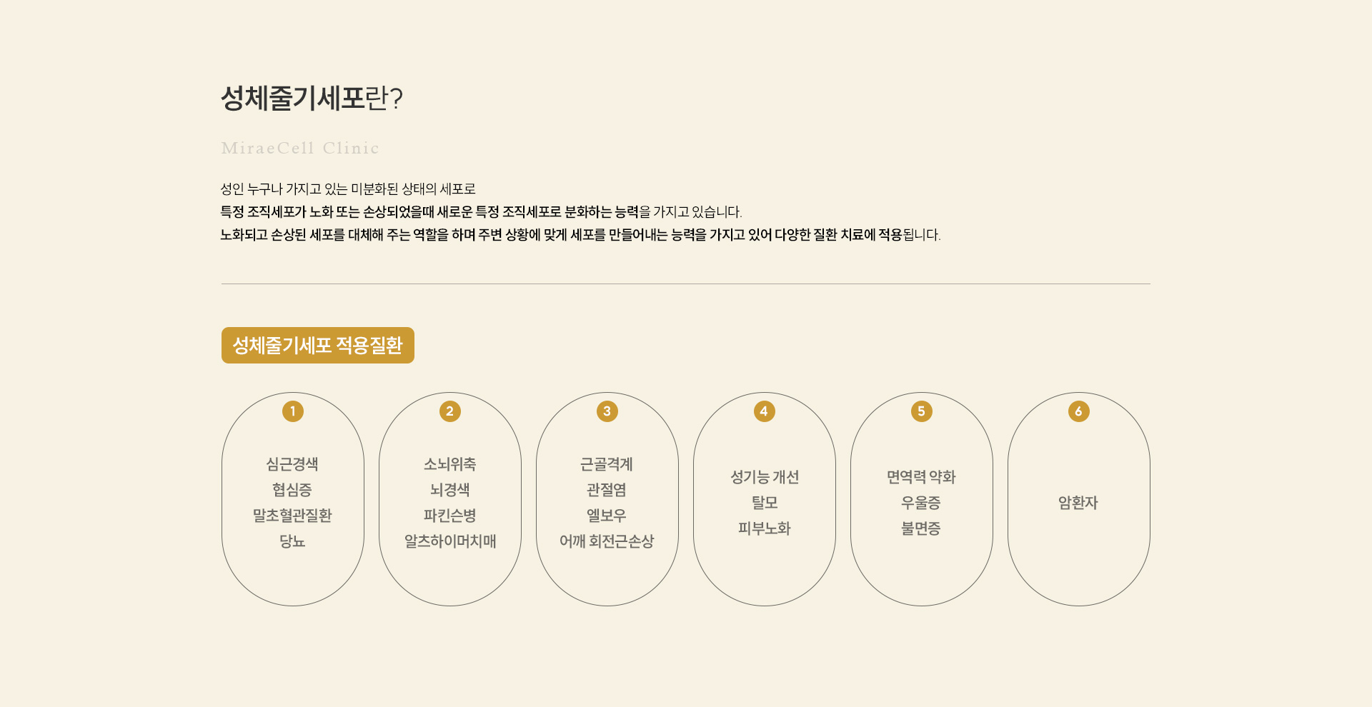 줄기세포란? 성체줄기세포